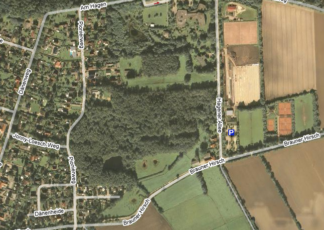 Platz Brauner Hirsch